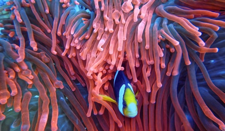 Ölen çocukları adına para toplandığını fark etti, suç duyurusunda bulundu